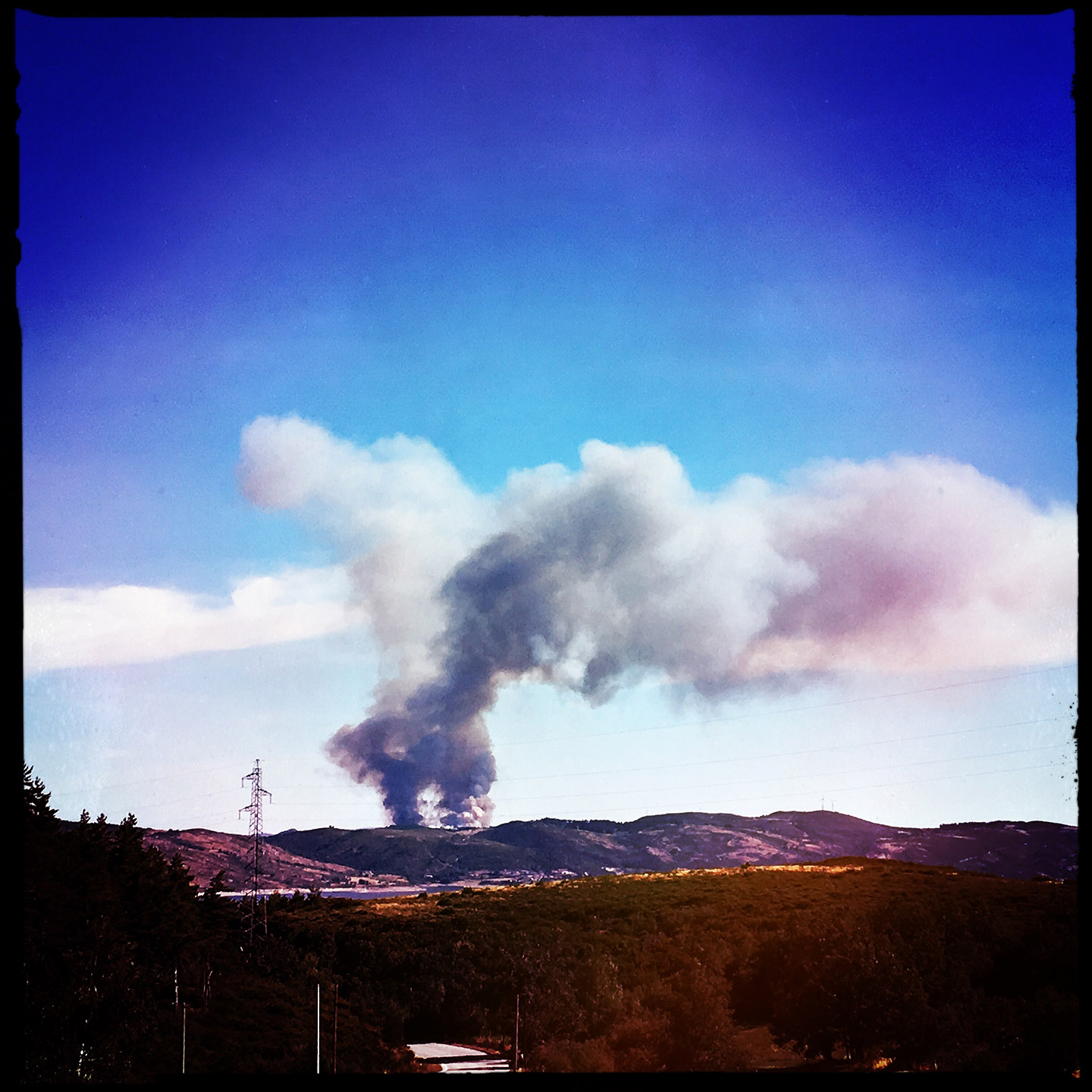 Fogos